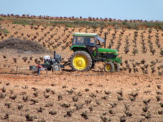 El paro desciende en Tudela un 4,8% el pasado mes