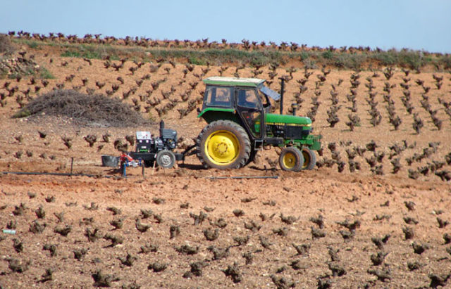 EMPLEO-AGRICOLA-TRABAJO-CAMPO