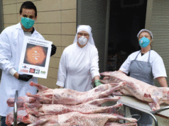 Los ganaderos de Cordero de Navarra muestran su lado más solidario Los ganaderos de Cordero de Navarra muestran su lado más solidario con la entrega de cordero a entidades afectadas por el coronavirus