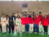 Judo Shogun