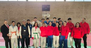 Judo Shogun