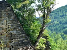 Vanessa Cañadas en la UNED de Tudela