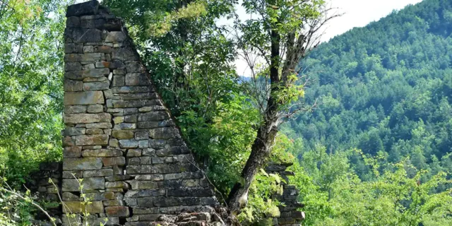 Exposición Invasión Vanessa Cañadas en la UNED de Tudela