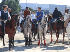 Marcilla Feria del Caballo