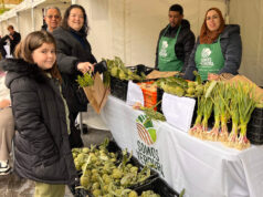 Feria Verdura y Gastronomía
