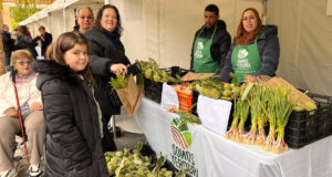Feria Verdura y Gastronomía