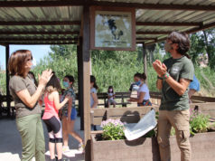 Éxito de participación en el IV Fin de Semana Medioambiental de Corella IV Fin Semana Medioambiental