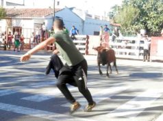 Fontellas se prepara para recibir a los riberos en las vacas por la calle de sus fiestas de otoño