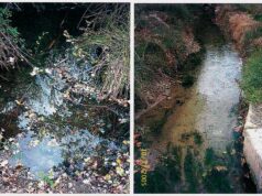 Fontellas: Recorrido turístico por las 9 fuentes de agua de manantial