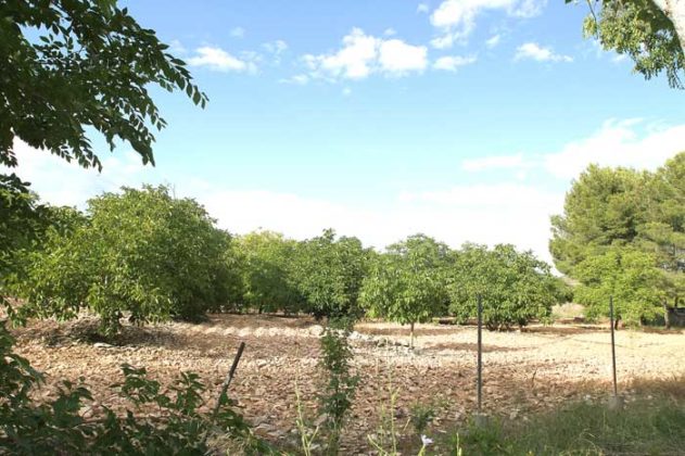 Fustiñana regadío