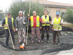 Fustiñana recoge 2.800 kilos de olivas en los 120 olivos del Ayuntamiento