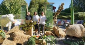 Feria Navarra Ecológica