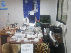 La Policía Nacional desmantela dos puntos de venta de droga en Tudela Operación Jimmy Seed llevada a cabo en Tudela