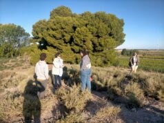 Cortes: La fascinación del Valle Medio del Ebro en el I Milenio a.n.e. Proyecto Alto de la Cruz: Campaña Arqueológica 2023