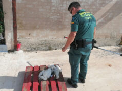 La Guardia Civil rescata a un pollo de cigüeña en Milagro Guardia Civil cigüeña