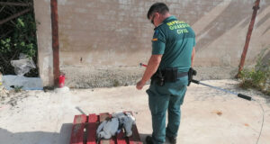 Guardia Civil cigüeña