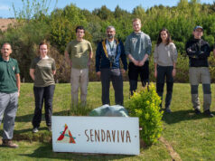 Sendaviva