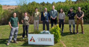 Sendaviva