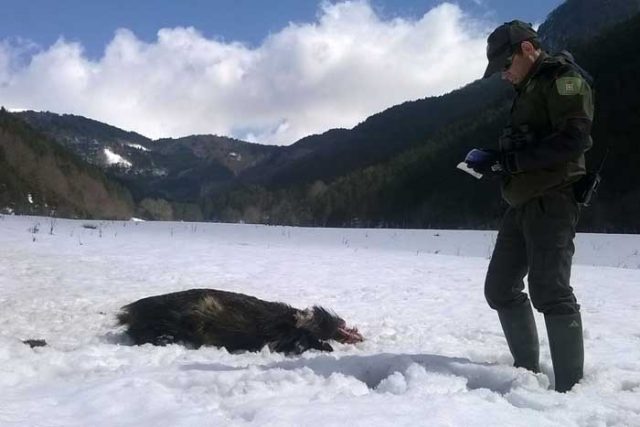 Guarderío Forestal de Navarra Guarderío Forestal de Navarra