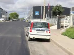 Tudela impulsa mejoras en calles, polígonos y aceras, y refuerza el control de aves urbanas