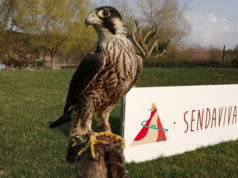 Sendaviva se hace mayor y regresa con novedades para toda la familia Sendaviva