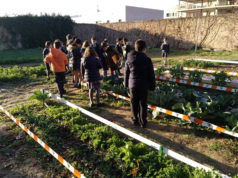 El huerto escolar, nuevo espacio de aprendizaje en Compañía de María