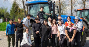 IESO Castejón Erasmus+