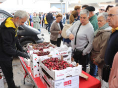 Milagro celebra una multitudinaria Fiesta de la Cereza en su 25 aniversario Milagro cereza