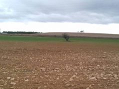 ozono troposférico en Tudela