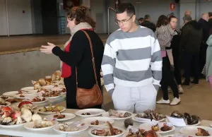 Cabanillas celebra sus XIII Jornadas Micológicas con un fin de semana de naturaleza, aprendizaje y convivencia
