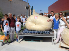 Rubén Mendi, ganador del Concurso de calabazas gigantes de Valtierra calabazas gigantes Valtierra