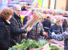 Corella acoge la XVI Jornadas del Cardo Rojo