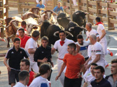 Tudela mantiene la apuesta taurina
