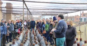 Jornadas del Moscatel