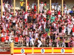 El ayuntamiento acometerá mejoras de seguridad en la Plaza de Toros de Tudela
