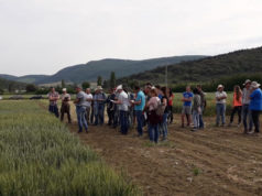 Las jornadas de puertas abiertas en cultivos extensivos de INTIA, un gran éxito de participación