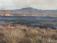 El PNV pregunta al Gobierno que aclare el origen incendio del pasado lunes en Bardenas
