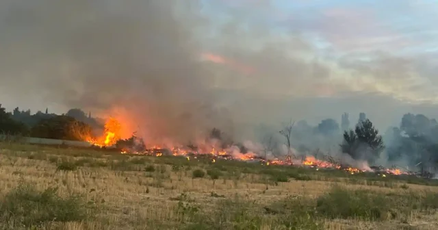 Incendio término Lodares