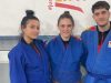 Judo Shogun