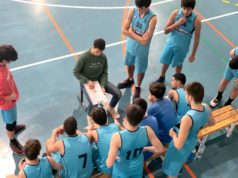 Baloncesto Arenas