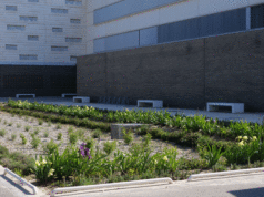 Jardín instalado en la UPNA de Tudela