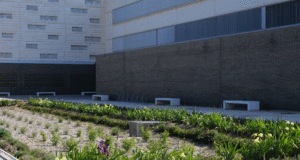 Jardín instalado en la UPNA de Tudela