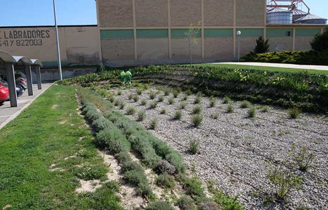 Jardin-instalado-en-la-UPNA-de-Tudela-(2)