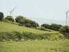 La Ribera se cita con el ciclismo en la segunda etapa de la Vuelta a Navarra 2026