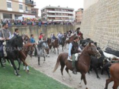Feria del Caballo Benito Aguerri de Marcilla 2025: Programa Completo del 10 al 12 de octubre Feria Caballo Marcilla 2025