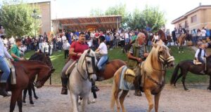 Feria Caballo Marcilla Fiesta Interés Turístico