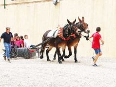 La Feria del Caballo de Marcilla regresa con una amplia programación del 9 al 12 de octubre