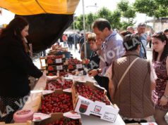 Milagro apoya la venta directa de ‘Cereza de Milagro’ Fiesta de la cereza en Milagro