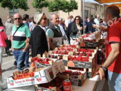 La XX Fiesta de la Cereza de Milagro homenajeará a la Guardia Civil en su 175 aniversario