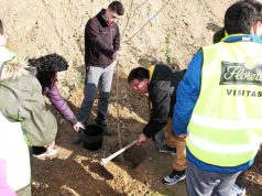 ANFAS celebró el Día del Árbol en el talúd del Embarcadero